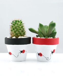 Mini Toprak Saksı 13 ugur bocekli toprak saksi sukulent