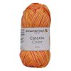 catania color 00228